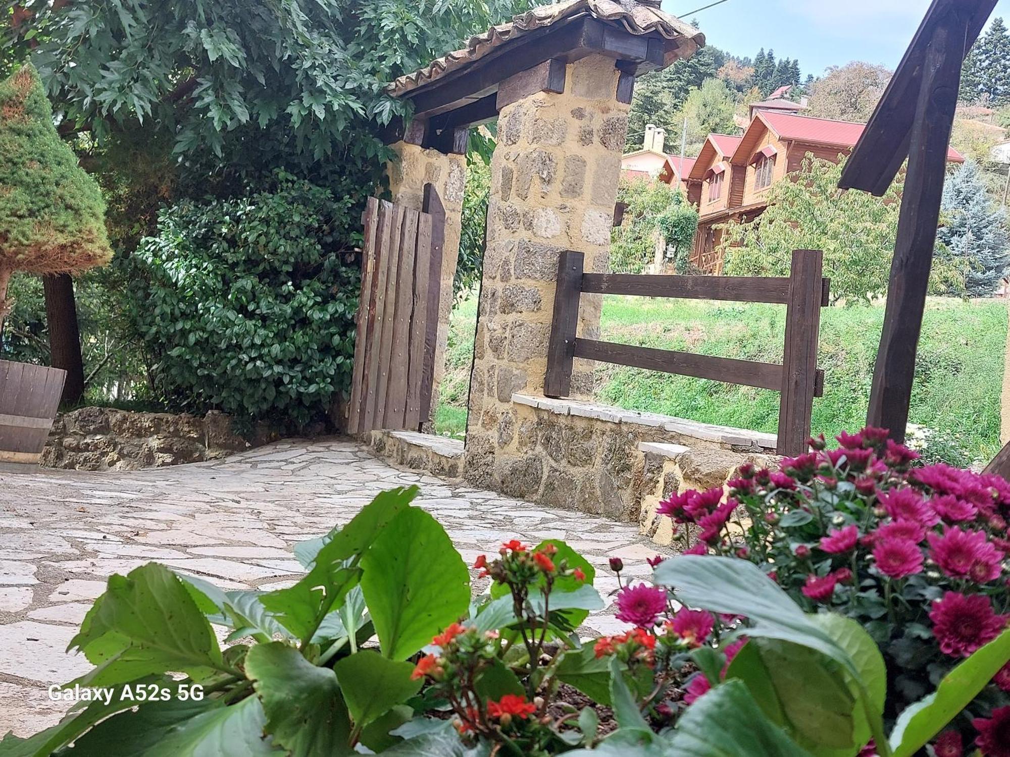 Εν Αρχή - En Arhi Villa Ano Trikala Exterior foto
