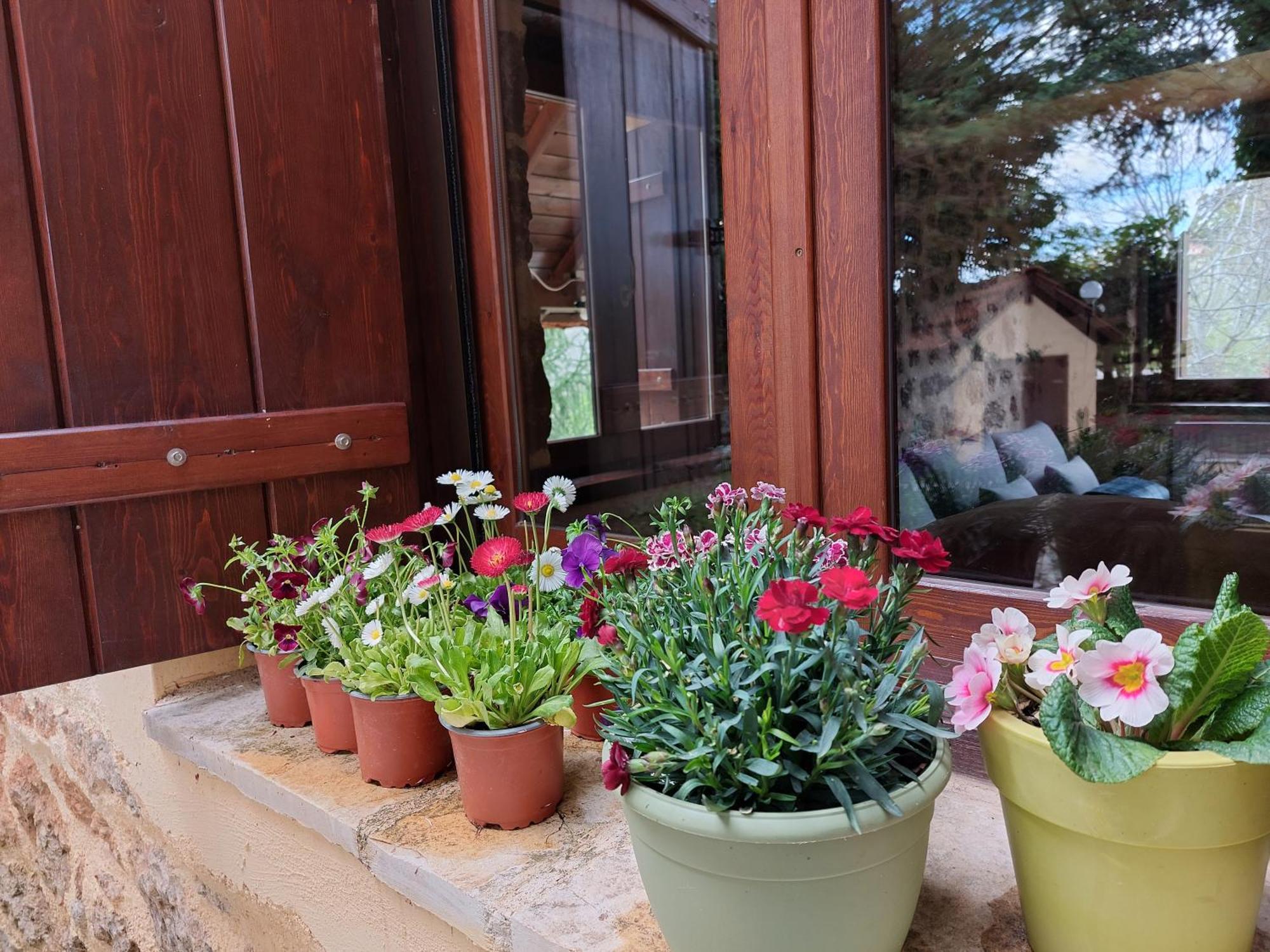Εν Αρχή - En Arhi Villa Ano Trikala Exterior foto
