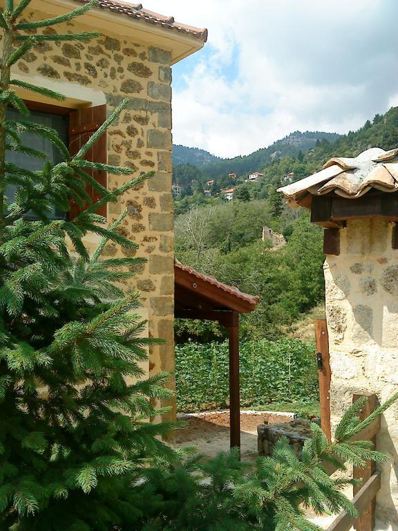 Εν Αρχή - En Arhi Villa Ano Trikala Cameră foto