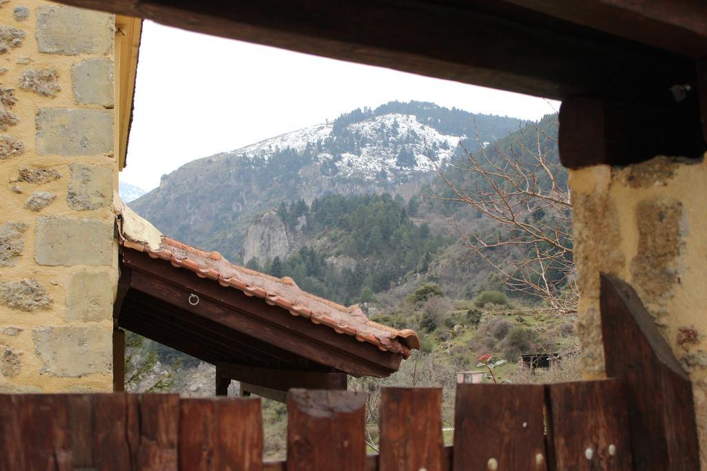 Εν Αρχή - En Arhi Villa Ano Trikala Cameră foto