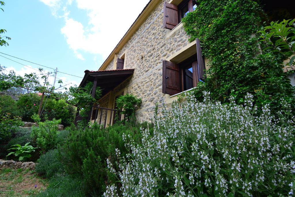 Εν Αρχή - En Arhi Villa Ano Trikala Exterior foto